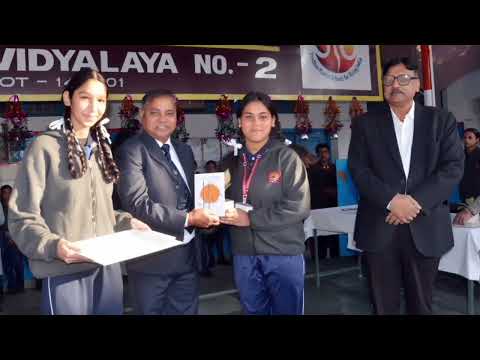 वार्षिक पैनल निरीक्षण