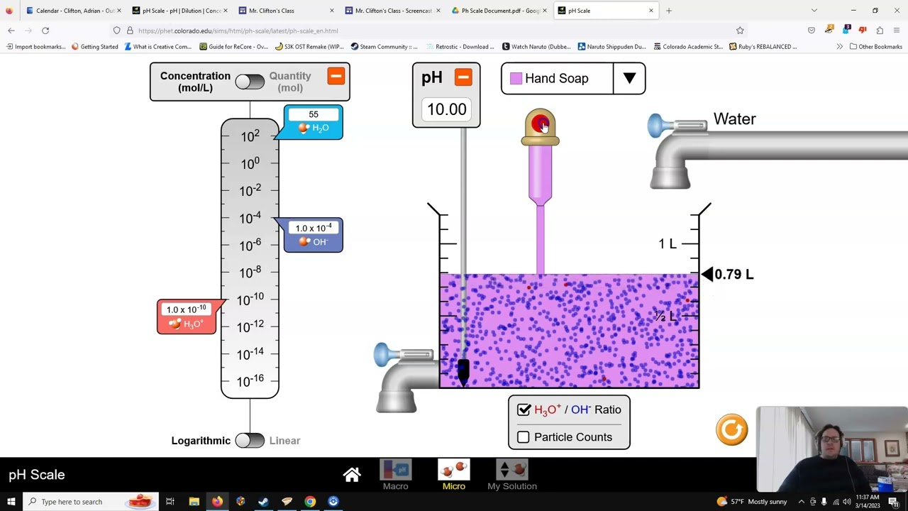 Phet pH-Scale Simulation Explanation