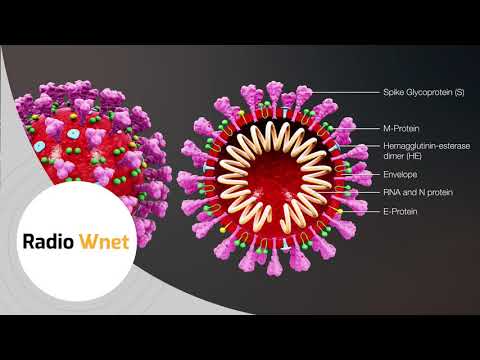 Prof. Fedorowski: Nic nie wskazuje żeby groził nam wariant włoski. Wirus jest bardzo dobrze poznany