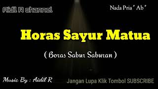 Download lagu Horas sayur matua (Boras sabur saburan) versi karaoke nada pria mp3