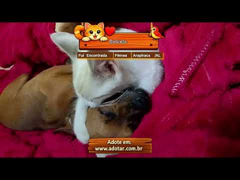 Vídeo de Belinda