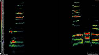 The Roches - The Anti-Sex Backlash Of The 80&#39;s : Spectrum Analysis (alto-soprano range)