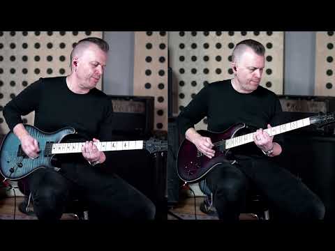 Peredur ap Gwynedd Plays "Watercolour" by Pendulum | PRS Guitars Europe
