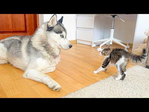 YouTube 썸네일