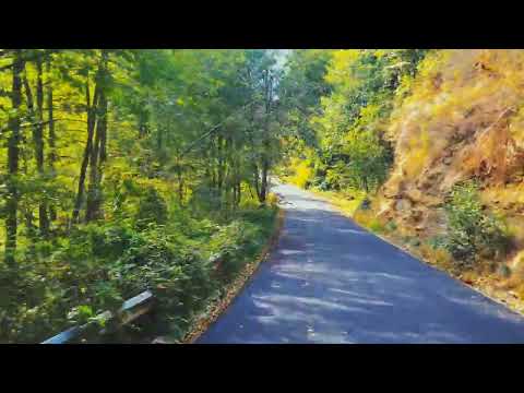 Covor nou Brăești - Pinu , Județul Buzău