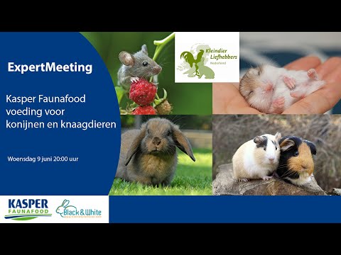 , title : 'KLN ExpertMeeting | Kasper Faunafood: Voeding voor konijnen en knaagdieren'