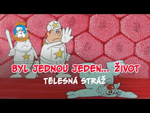 Byl jednou jeden... život 🌱 Telesna straz 🧘