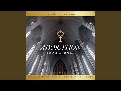 Domine Non Sum Dignus