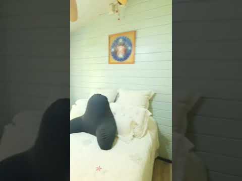 Casa/chácara com 5 dormitórios à venda, 460 m² por R$ 2150000 - Parque Dom Henrique II - Cotia/SP