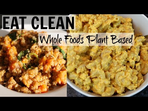 download lagu mp3 mp4 Vegan Cheese Made From Oats, download lagu Vegan Cheese Made From Oats gratis, unduh video klip Vegan Cheese Made From Oats