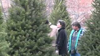 preview picture of video 'Kohls Stony Hill Tree Farm Near Milton PA.wmv'