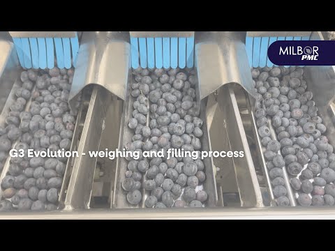 G3 Evolution - weighing and filling process | Milbor PMC