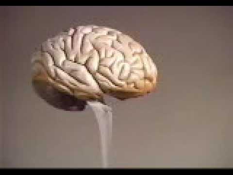 LSD The Beyond Within   complete high compression   82 minute BBC documentary