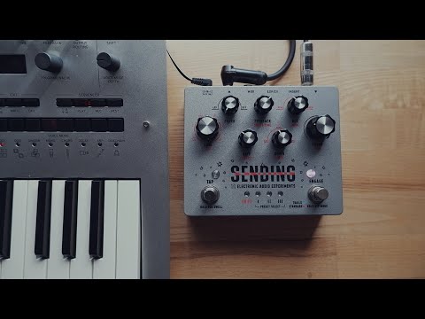 Electronic Audio Experiments Sending V2 - Grey. Latest Firmware w/ “Mod-Matrix” image 4