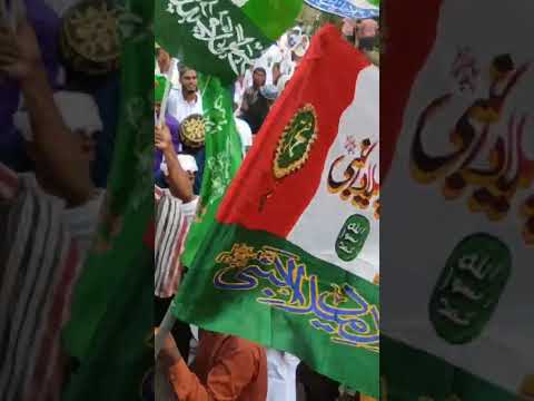 Sarkar Ki Aamad Marhaba #marhaba #sarkarkiamad #jolus #status #viral #beautiful #shortvideo