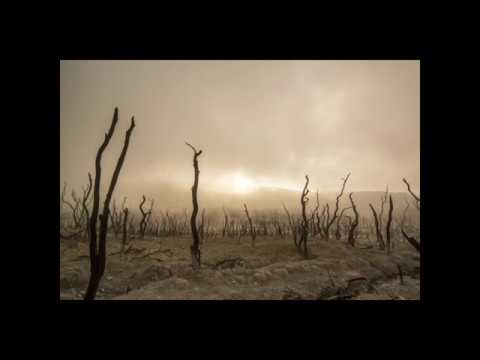 112 Biblische Ethik: Verteidigungskrieg