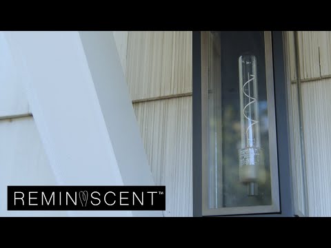 REMINISCENT Gray Filament T9 Lamps