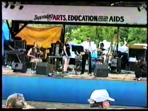 Johnny Dowd Band with Hank Roberts at the Grassroots Festival in Trumansburg, New York 1996