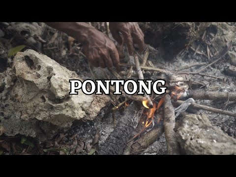 PONTONG - Jemaat GPM Halong Anugerah (Official Music Video)