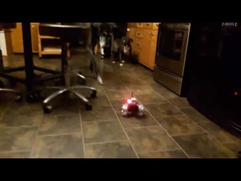 Victor vs. RC car(2)