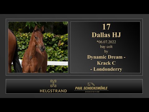17 Dallas HJ by Dynamic Dream - Krack C - Londonderry