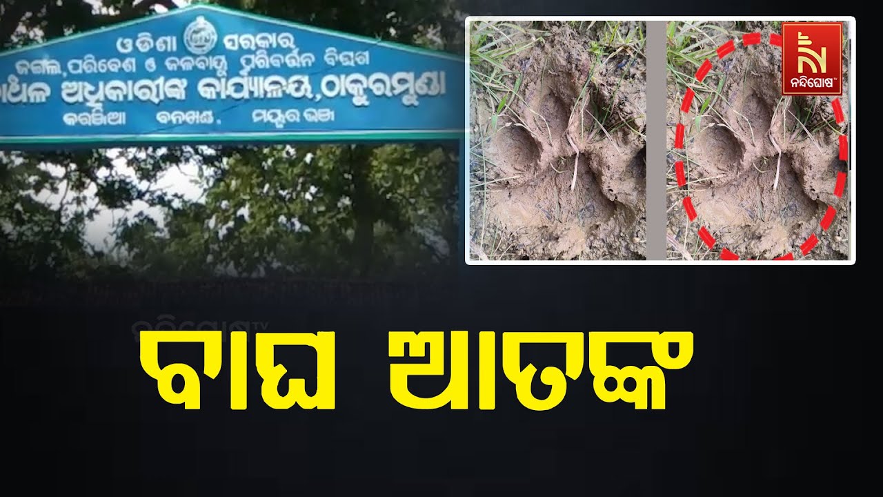 ମୟୂରଭଞ୍ଜ ଜିଲ୍ଲା କରଞ୍ଜିଆ ବନଖଣ୍ଡ ଠାକୁରମୁଣ୍ଡା ରେଞ୍ଜ ଅ?