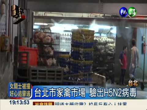 台北市家禽市場 驗出H5N2病毒