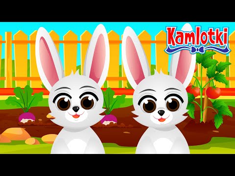 BIAŁE KRÓLICZKI – Piosenka o króliczkach 🥕 Polskie piosenki dla dzieci | Kamlotki