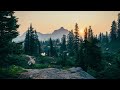 Gavin Higgins A Forest Symphony