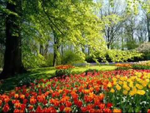 Rupa Testvérek 2014 Kelj föl én kedvesem