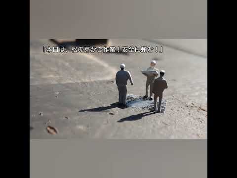 園芸 風景のミニチュア「盆景」