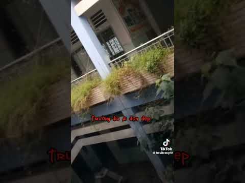 Tại sao 8 năm trước trường tiểu học tân quý bị bỏ hoang😨