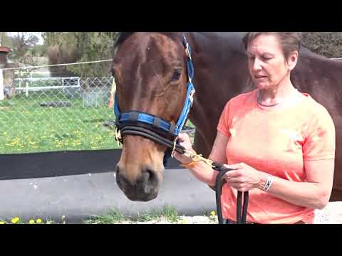 Wirkungsweise LK Controller by Stuebben