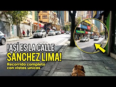 Calle Sánchez Lima: Joya de Sopocachi 🇧🇴 // June 20, 2026 #Sopocachi #LaPazBolivia #SanchezLima