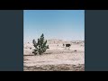 Alkhar Dessouf (Zeid Hamdan Remix - Edit)