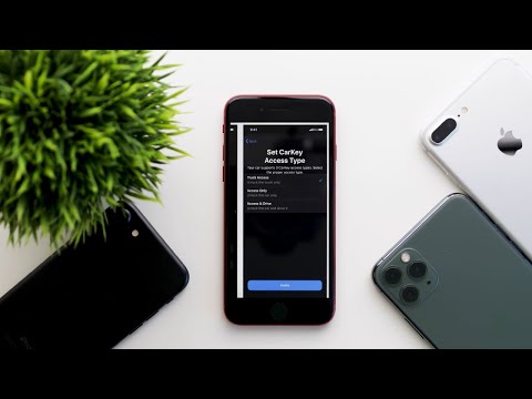 iOS 13.6 Released! Should You Update?