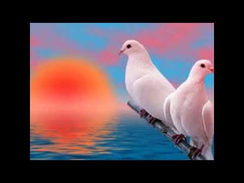 MINHA RÁDIO: ROMANTIC INSTRUMENTAL - PAN FLUTE.mp4