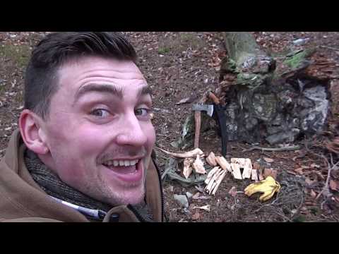 Kienspanjagd - Auf der Suche nach dem Gold des Waldes