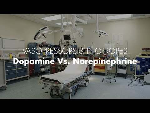 Dopamine vs Norepinephrine - Vasopressors & Inotropes