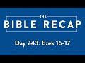 Day 243 (Ezekiel 16-17)