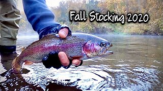 Catching Finicky Fall TROUT on Jerkbaits! NJ Fall Trout Stocking 2020