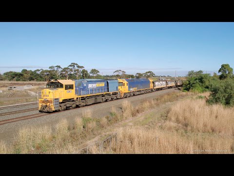 9158 Broad Gauge Pacific National Grain With XR558 & BL29 (20/4/2023) - PoathTV Australian Trains