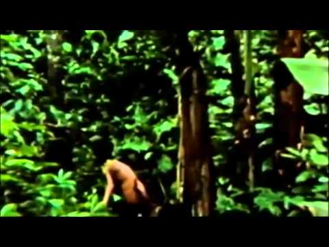 Secrets of the Tribe trailer