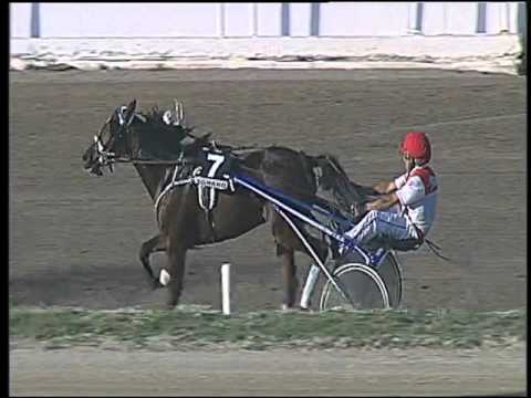 Trotto 04/10/2015 - 6° corsa