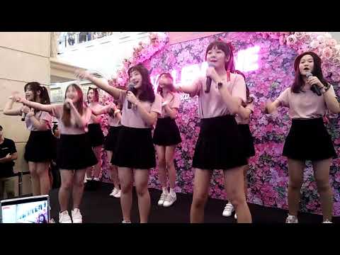 CM cafe Trainee @ Terminal21 / 16 ก.พ.2020 (รับน้องหน่อย)