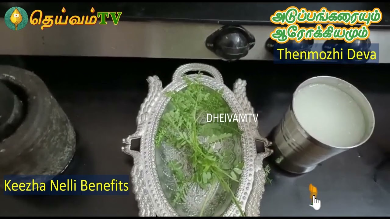 Keezhanelli buttermilk helps to cure Hepatitis B | கல்லீரல் நோய சரிசெய்ய கீழாநெல்லி | Dheivamtv