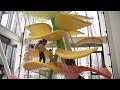 Museum Of Solutions MuSo Home To The Incredible Luckey Climber