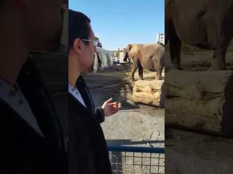 Der kleine aber feine Unterschied .