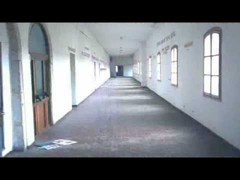 LAGUNARI - Lido (Ve)