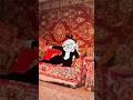 Russians and carpets on the walls
